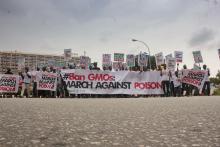 March against Poison: Nigerians say no to GMOs and seek a repeal of the Biosafety Law