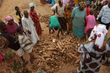 Ibadan Organic Farmers Market launched in Nigeria