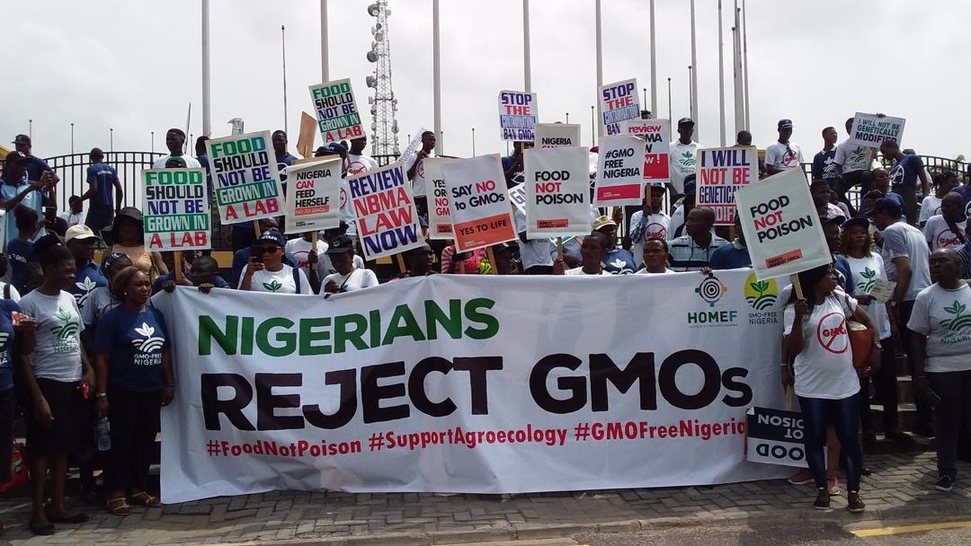 Petition to the Lagos State Governor on GMO Crops in Nigeria