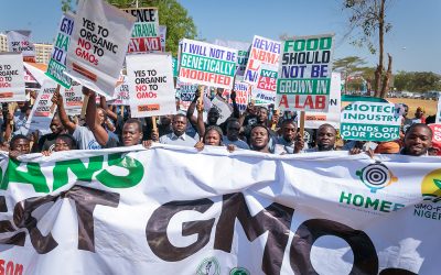 Nigerians against GMOs are not Terrorists Activists Reply DG of NBMA