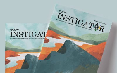 Eco-Instigator #34