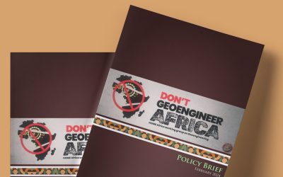 Don’t Geoengineer Africa (Policy Brief)