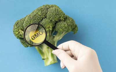 House of Reps Pulls a Stop on GMOs