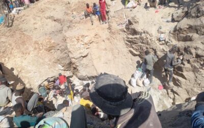 Forests, Critical Minerals, and the Crisis of Human Security
